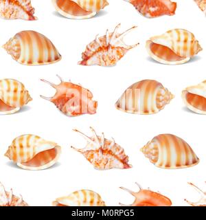 Seashell collection Photorealistic vector illustration. Sketch. Ocean life. Seamless background Stock Vector