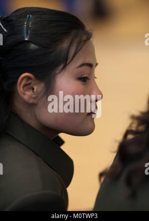 Portrait of a North Korean woman, Pyongan Province, Pyongyang, North Korea Stock Photo