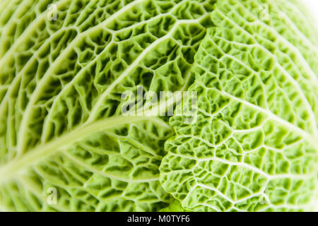 Close-up view of the crumpled structure of a green cabbage leaf. Stock Photo