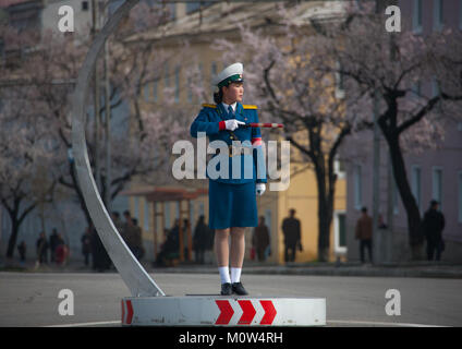 North Korean traffic security officer in blue uniform in the street, Pyongan Province, Pyongyang, North Korea Stock Photo
