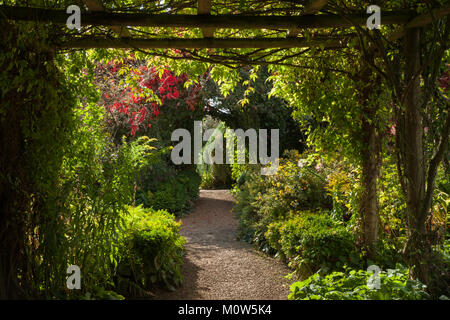 The shrub and herbaceous borders in late summer seen from beneath the wooden pergola within the walled garden of Rousham House, Oxfordshire, England. Stock Photo