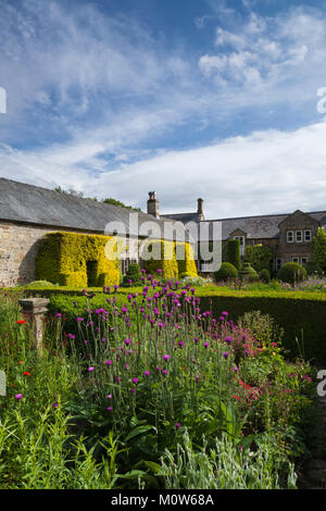 Colourful herbaceous flowers grow within a border enclosed by yew hedging within the Flower Garden of Herterton House in Northumberland, England. Stock Photo
