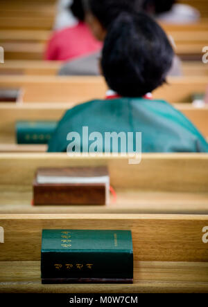 North Korean worshiper reading the bible during a sunday mass in protestant Bongsu church, Pyongan Province, Pyongyang, North Korea Stock Photo