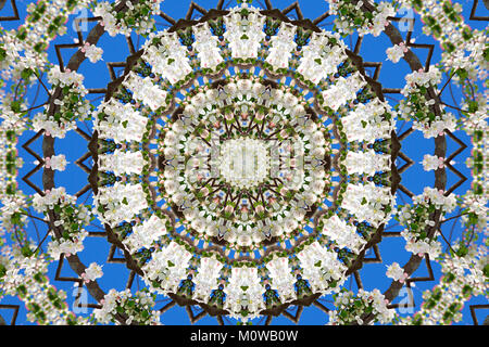 abstract background of floral pattern of a kaleidoscope. white blue green background fractal mandala. abstract kaleidoscopic arabesque. geometrical or Stock Photo