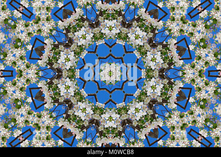 abstract background of floral pattern of a kaleidoscope. white blue green background fractal mandala. abstract kaleidoscopic arabesque. geometrical or Stock Photo