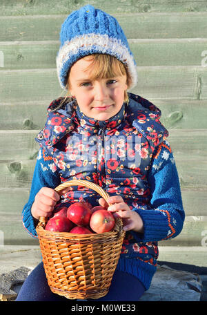 Child picking apples on a farm in autumn. Little girl playing in apple tree orchard. Kids pick fruit in a basket. Outdoor fun for children. Healthy nu Stock Photo
