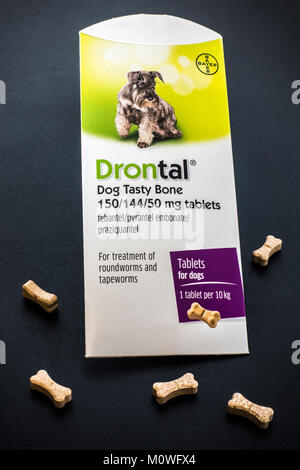 Drontal 'Dog Tasty Bone' tablets by Bayer. To treat the most common types of worms in dogs, including roundworms, tapeworms, hookworms and whipworms. Stock Photo