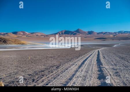 Argentine,Catamarca province,Puna desert,El Penon,Laguna Grande on the route to volcan Galan Stock Photo