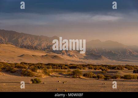 Argentina,Catamarca Province,Taton dunes,around Fiambala Stock Photo