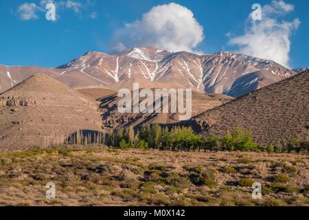 Argentina,San Juan Province,Barreal,Rio de Los Patos valley Stock Photo