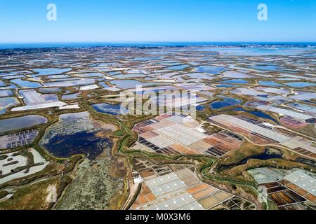 France,Loire Atlantique,Guerande,salt marshes (aerial view) Stock Photo