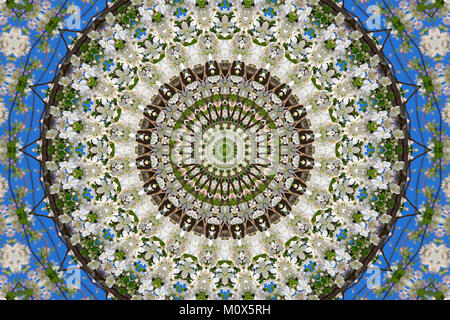 abstract background of floral pattern of a kaleidoscope. white blue green background fractal mandala. abstract kaleidoscopic arabesque. geometrical or Stock Photo