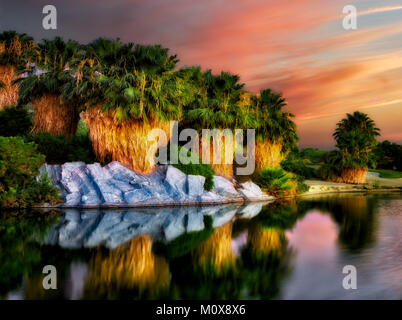 Pond and palm tress at sunrise Desert Willow Golf Resort. Palm Desert, California Stock Photo