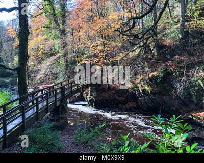 A forest path that leads to a bridge over a stream surrounded by trees with autumn coloured leaves Stock Photo