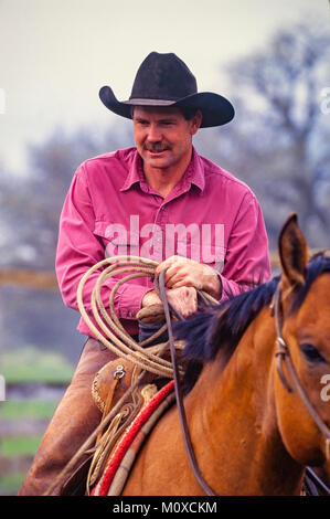 Ranch neighbors help with a cattle roundup and branding in South Dakota. Stock Photo