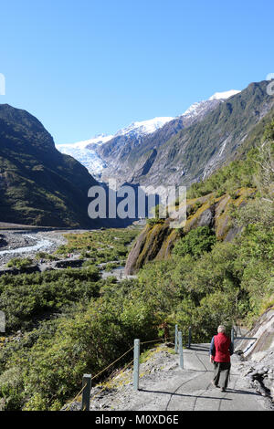 Walker on footpath to Franz Josef glacier in Westland Tai Poutini national park, South Island, New Zealand with Waiho River in valley bottom. Stock Photo