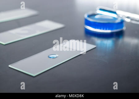 Microscope glass slide with a small drop of blue liqudi substance, petri dish and pipette dropper on the background Stock Photo