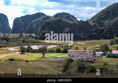 View of farmland with rolling hills and pond in Vinales, Cuba Stock Photo