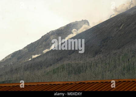 Indonesia. 24th Jan, 2018. Lava flows don't cool instantaneously. It can take days to years for a lava flow to completely cool. Lava flows are streams of molten rock that pour or ooze from an erupting vent. Credit: Sabirin Manurung/Pacific Press/Alamy Live News Stock Photo