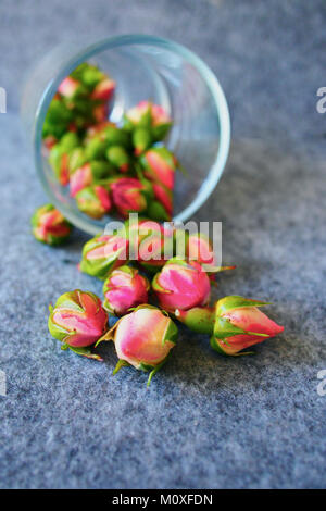 dried rosebuds on grey background Stock Photo