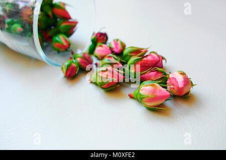 dried rosebuds on white background Stock Photo