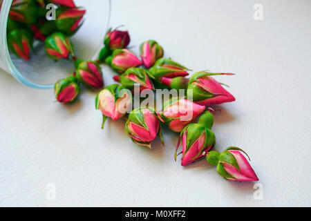 dried rosebuds on white background Stock Photo