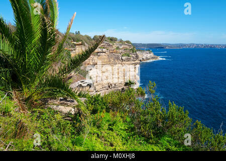 High cliffs of South Head Reserve, view from Gap Bluff towards North Head and Manly on a sunny day, Watsons Bay, Sydney, Australia. Stock Photo
