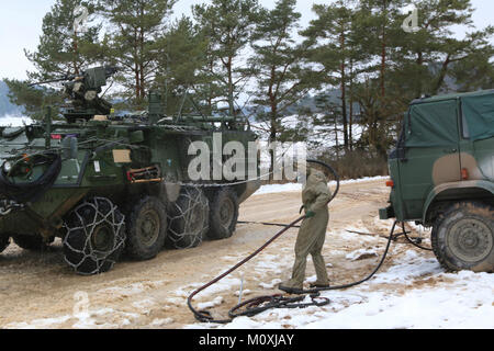 A Polish Soldier decontaminates a Stryker armored combat vehicle from 82nd Engineer Battalion, 2nd Armored Brigade Combat Team, 1st Infantry Division, at the vehicle decontamination site as the unit practices chemical, biological, radiological, nuclear and explosive response operations in preparation for Allied Spirit VIII Jan. 22, 2018 in Hohenfels, Germany. Allied Spirit VIII is designed to provide multinational interoperability training at brigade and battalion levels to enhance U.S. and NATO effectiveness.  (U.S. Army Stock Photo