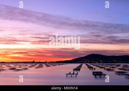 Sunrise on the pond of Thau, oyster beds, in the background Mont St Clair in Sete, Occitanie, France Stock Photo
