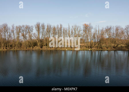 RivierPark Maasvallei, River Park Maasvallei, nature park, reserve, former gravel extraction, ponds at The Meuse, Limburg, Belgium. Stock Photo