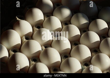 Repeating pattern. Game of shadows. Egg in a tray of eggs. Stock Photo