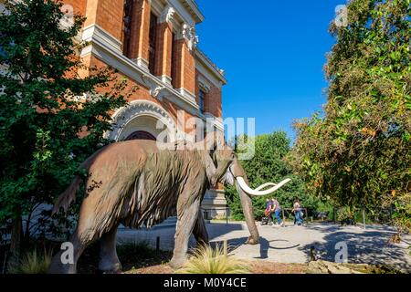 France,Paris,Jardin des Plantes,park and botanical public garden and headquarters of the National Museum of Natural History,Gallery of Palaeontology and Comparative Anatomy Stock Photo