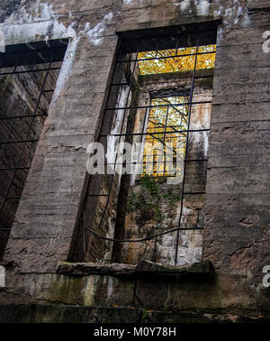 Windows at Carbide Willson Ruins in Gatineau Park Stock Photo