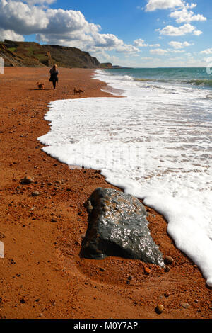 Walking the dogs on the beach at Eype in Dorset near West Bay Stock Photo