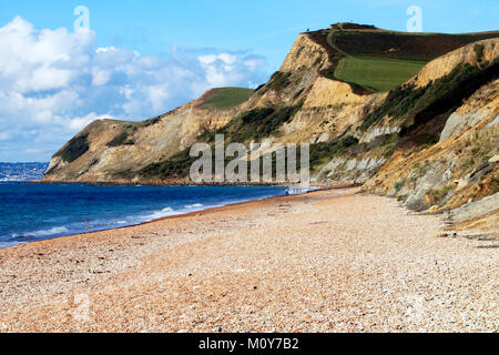 Walking the dogs on the beach at Eype in Dorset near West Bay Stock Photo