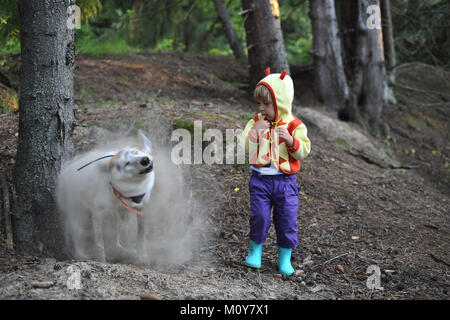 Girl and dust dog Little funny Girl and cute dog. the dog got out of a hole and shakes off dust. Summer forest. Stock Photo