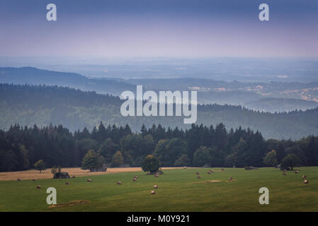 Distance view of Lezyckie Rocks on a meadow seen from Naroznik Mountain in Stolowe Mountains (Table Mountains) range, part of Sudetes, Poland Stock Photo
