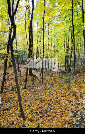 Talcott Mountain State Park, Simsbury, Connecticut, USA Stock Photo