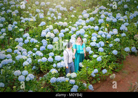 Couple happy together in field hydrangeas blooming purple whole hill in morning beautiful highlands Stock Photo