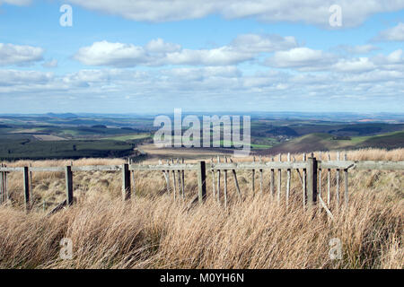 Scotland as viewed from the border at Carter Bar, looking North East Stock Photo
