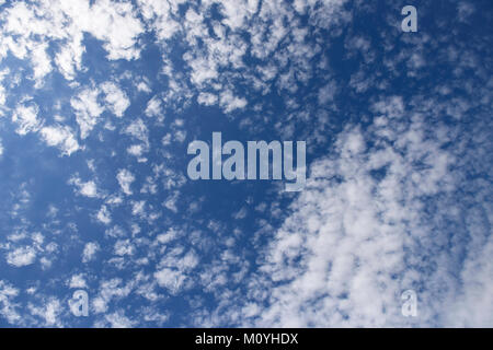 Many small puffy clouds against the blue sky Stock Photo