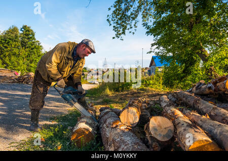 Caucasian man cutting logs with chainsaw Stock Photo
