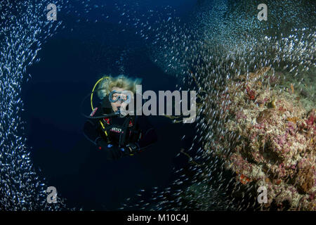 Indian Ocean, Maldives. 31st Aug, 2017. Female scuba diver and school of glass fish - Pigmy Sweeper Credit: Andrey Nekrasov/ZUMA Wire/ZUMAPRESS.com/Alamy Live News Stock Photo