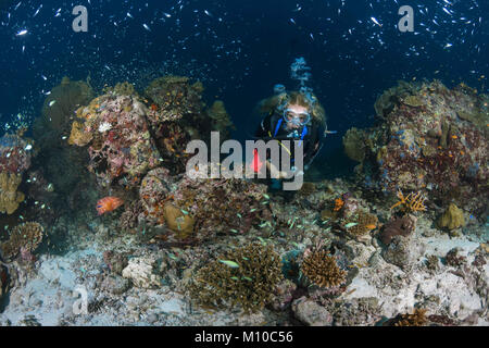 September 6, 2017 - Indian Ocean, Maldives - Female scuba diver swim near coral reef (Credit Image: © Andrey Nekrasov/ZUMA Wire/ZUMAPRESS.com) Stock Photo