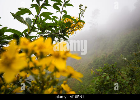 San Jose scenery, Oaxaca Stock Photo