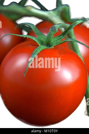 ripe and red Tomatoes isolated on white background for salads or drinks Stock Photo
