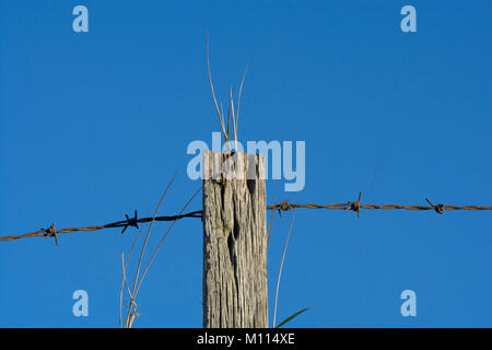 Old weathered fence post and barbed wire fence, Lancashire, UK Stock Photo