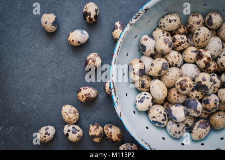 Quail Eggs in an old fashioned enamel colander on a slate background Stock Photo
