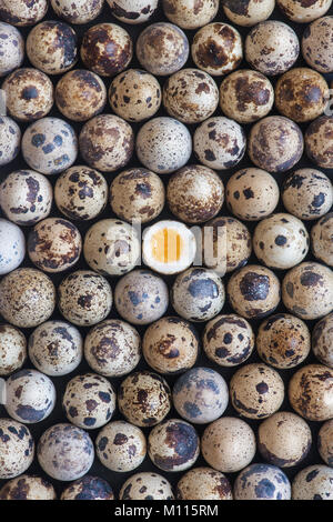Quail Eggs pattern with a soft boiled egg in the middle Stock Photo