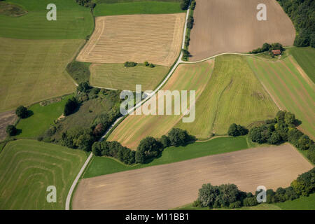 Aerial view of fields, Windach, Bavaria, Germany Stock Photo